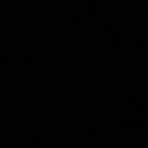 Meet your Posher, Hector